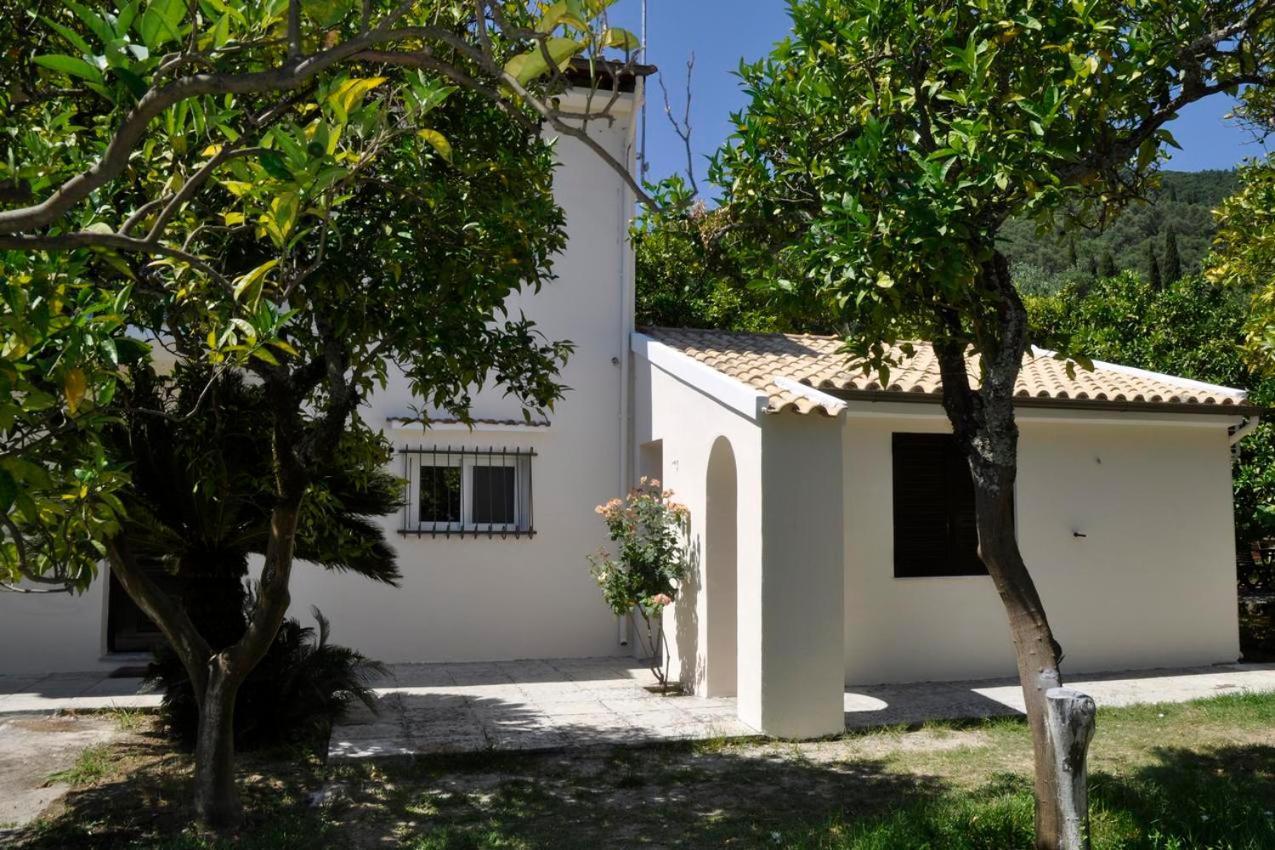 Orange Grove Suites ベニテス エクステリア 写真
